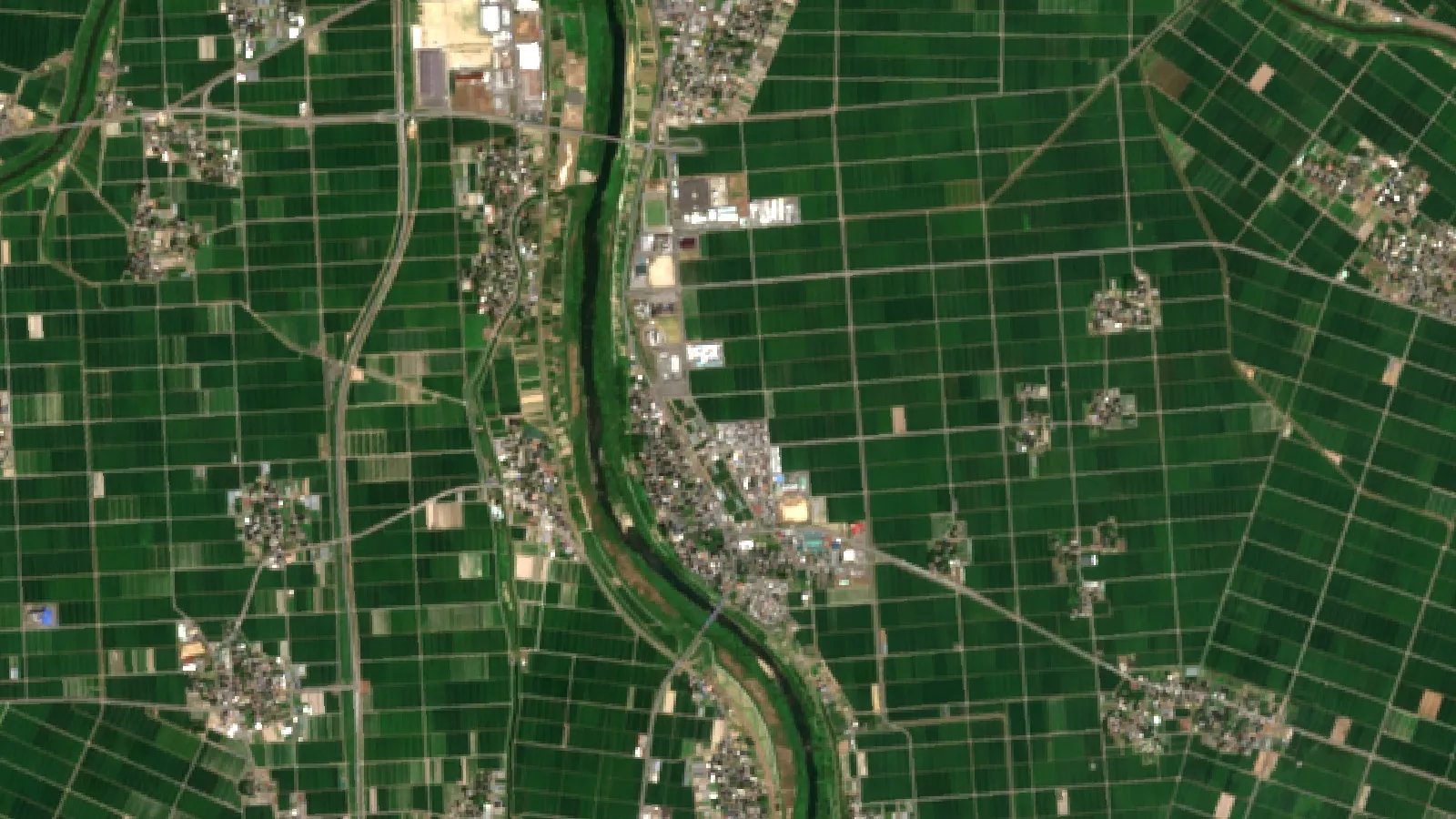 Japan Farming Methods: 7 Smart Techniques &Amp; Innovations 1 Sentinel-2 Satellite View Of Rice Paddies On The Shonai Plain, Yamagata, Japan
