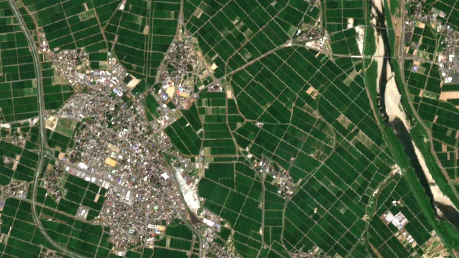 Japan Rice Price Increase Reasons: Top 5 Key Factors 1 Sentinel-2 Satellite View Of Rice Paddies On The Shonai Plain, Yamagata, Japan