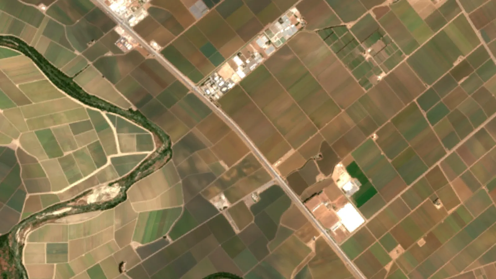 Best Apps To Diagnose Plant Diseases: The Ultimate Guide 1 Sentinel-2 Satellite View Of Vegetable Fields In The Salinas Valley Near Chualar, California
