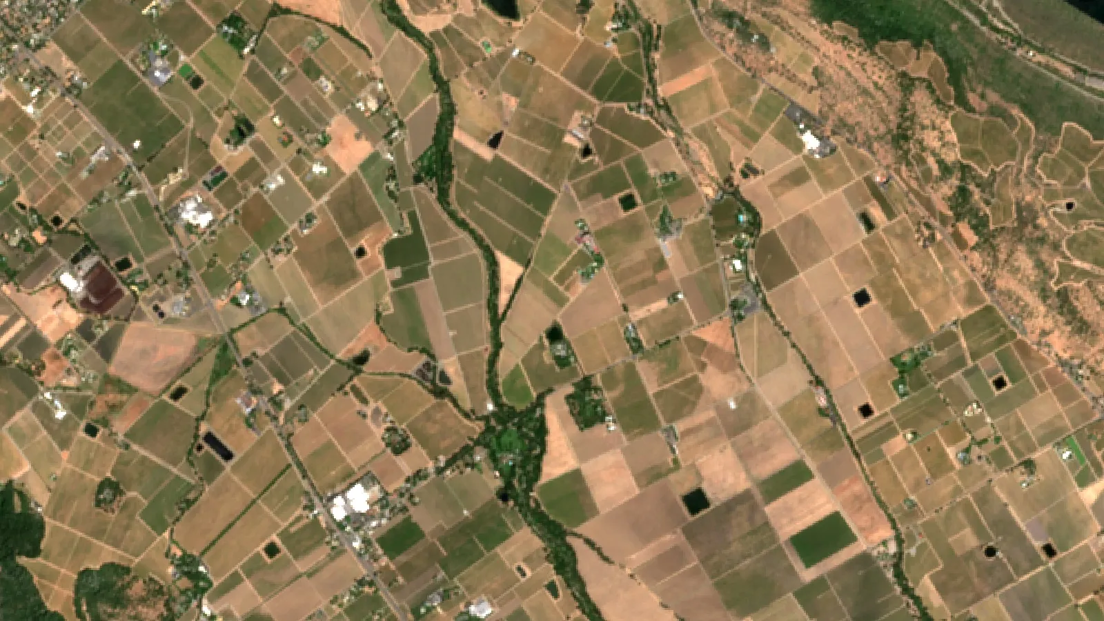 Blisters On Grape Vine Leaves: 7 Proven Pest Solutions 1 Sentinel-2 Satellite View Of Vineyards On The Napa Valley Floor Near Rutherford, California