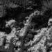 himalayan clouds